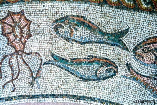 Cuadro lienzo