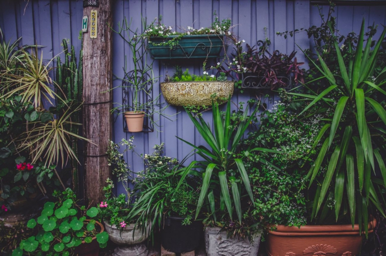 Grande