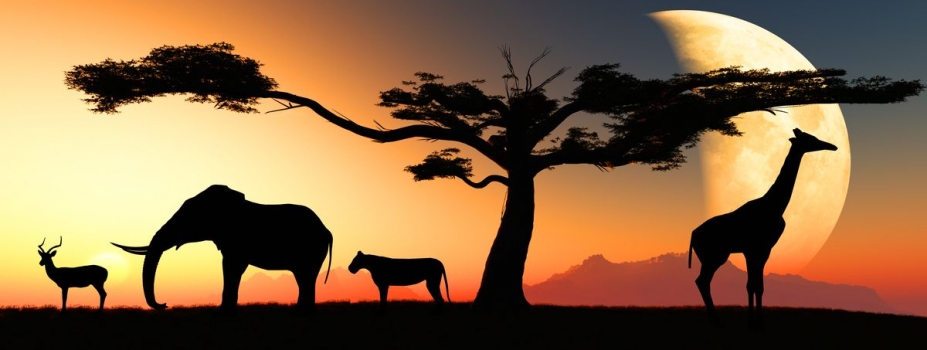 Ficticio contar arcilla Fotomural Animales Africa