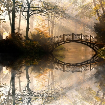 Old_bridge_in_autumn_misty_park__muralesyvinilos_44630410__Monthly_XL.jpg