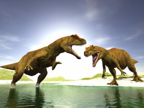 Fotomural Pelea Dinosaurios animales Fotomural Pelea Dinosaurios animales