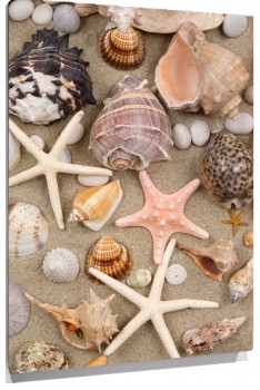 cartoon-wallpaper-22.jpg