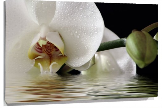 cartoon-wallpaper-22.jpg