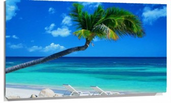 Lienzo Playa palmera