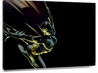 Lienzo Batgirl volando