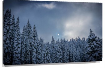Lienzo Invierno Bosque nevado
