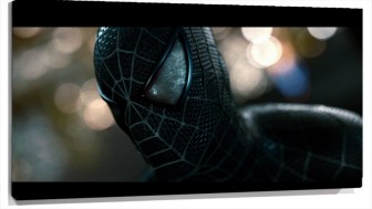 Lienzo Cara De Spiderman
