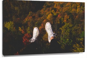 Lienzo Converse Fondo bosque