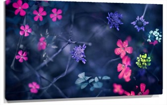 Lienzo Ramas de Flores De colores