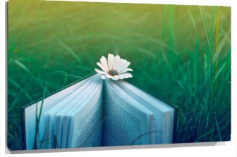 Lienzo Libro con una margarita en el centro