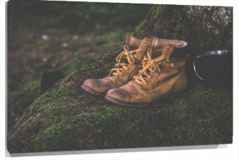 Lienzo Botas amarillas en el musgo