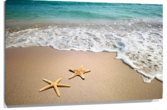 Lienzo Estrellas de mar en playa