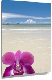 Lienzo Flor en playa