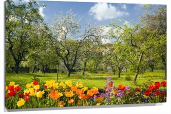 Lienzo Flores y arboles