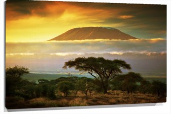 Lienzo Kilimanjaro