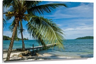 Lienzo Muelle y palmera en playa