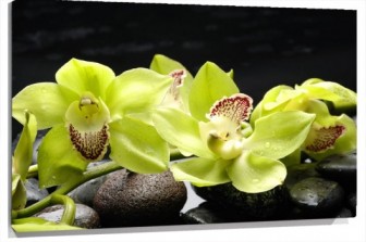 Lienzo Orquideas verdes