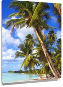 Lienzo Palmera playa
