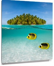 Lienzo Peces e isla