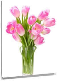Lienzo Tulipanes rosas