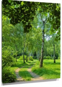 Lienzo bosque vertical
