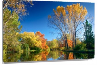 Lienzo bosque y lago