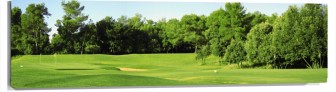 Lienzo campo de golf