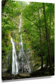 Lienzo cascada arboles
