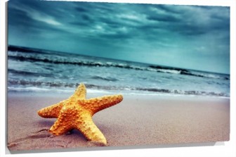Lienzo estrella de mar en la playa
