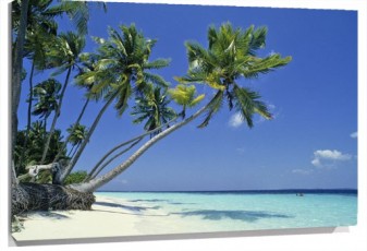 Lienzo playa caribe