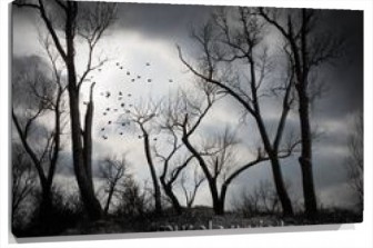 Lienzo Bosque Tenebroso de Noche