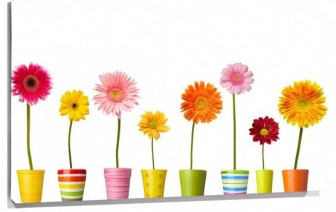Lienzo macetas flores