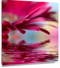 Lienzo margarita reflejada agua_