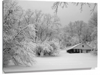 Lienzo nieve