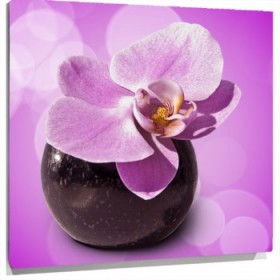 Lienzo orquidea rosa en florero