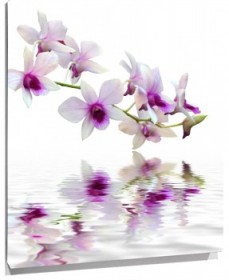 Lienzo orquideas violetas