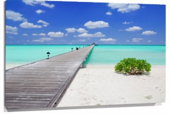 Lienzo pasarela playa