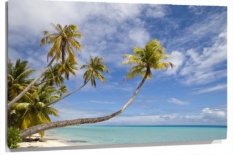 Lienzo playa caribe