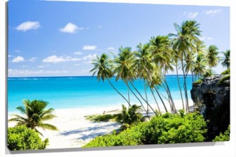 Lienzo playa con vegetacion