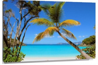 Lienzo playa palmera