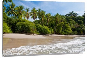 Lienzo playa virgen