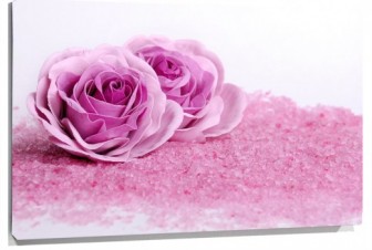 Lienzo rosas rosas