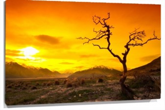 Lienzo sol arbol