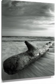 Lienzo tronco arbol en el mar grises