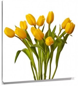 Lienzo tulipanes amarillos