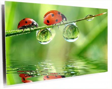 cartoon-wallpaper-22.jpg