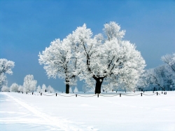 Fotomural