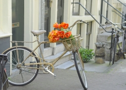 Bici_con_flores_muralesyvinilos_3497974__Monthly_L.jpg