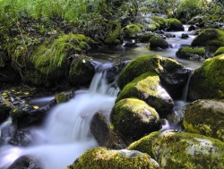 Cascada_asturias_muralesyvinilos_23911300__XL.jpg