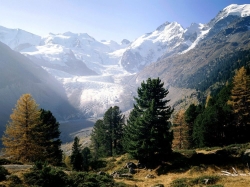 Piz_Bernina_Moteratsch_Glacier_Engadine_Switzerland.jpg